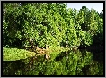 Park, Rzeka, Przebijające, Światło, Odbicie