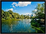 Park, Rzeka, Wieżowce, Natura