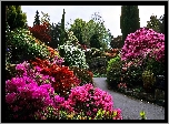 Wiosna, Park, Rododendrony
