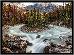Wodospad Sunwapta Falls, Rzeka Sunwapta, Park Narodowy Jasper, Skały, Drzewa, Alberta, Kanada