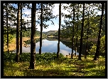 Park Narodowy Peak District, Dolina Upper Derwent Valley, Hrabstwo Derbyshire, Anglia, Rzeka Derwent, Wzgórza, Drzewa