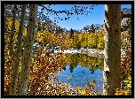 Stany Zjednoczone, Stan Kalifornia, Park Narodowy Yosemite, Jezioro, Góry, Drzewa Jezioro