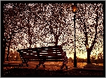 Park, Ławka, Latarnia, Drzewa, Zachód Słońca