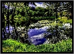 Park, Staw, Zieleń, Art