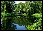 Park, Jeziorko, Woda, Zieleń, Drzewa