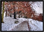 Zima, Park, Ławeczki
