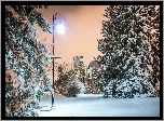 Zima, Park, Lampa