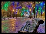 Zima, Park, Lampki
