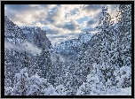 Park Narodowy Yosemite, Zima, Góry Sierra Nevada, Drzewa, Chmury, Stan Kalifornia, Stany Zjednoczone