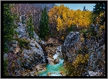 Stany Zjednoczone, Stan Kolorado, Góry Skaliste, Przełęcz Independence Pass, Jesień, Rzeka, Skały, Drzewa, Kamienie