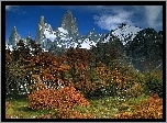 Patagonia, Park, Narodowy, Glaciares