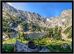 Stany Zjednoczone, Stan Kolorado, Indian Peaks Wilderness, Góry, Jezioro Isabelle, Kamienie, Świerki