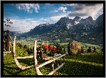 Pelargonie, Sanki, Góry, Alpy, Tyrol, Austria