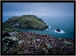Park, Narodowy, Pembrokeshire Coast, Wybrzeże, Latarnia, Morska, Wrzosy, Walia, Wielka, Brytania