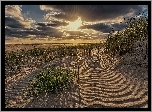 Niemcy, Sankt Peter-Ording, Piaszczyste, Wybrzeże, Morze Północne,  Promienie słońca, Plaża
