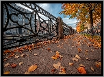 Miasto, Sankt Petersburg, Jesień, Domy, Balustrada, Ulica, Drzewa, Opadłe, Liście, Rosja