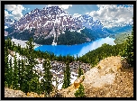 Jezioro, Peyto, Lake, Park, Narodowy, Kanada, Góry