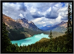 Góry, Jezioro Peyto Lake, Park Narodowy Banff, Prowincja Alberta, Kanada, Las