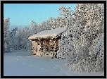 Piękna, Zima, Domek, Ośnieżone, Drzewa