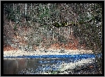 Góry, Pieniny, Skarpa, Las, Rzeka, Dunajec, Wiosna