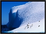 Pingwiny, Góra Lodowa, Ocean