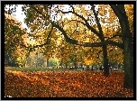 Plac, Zabaw, Jesień, Park
