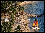 Plaża, Jacht, Kolorowe, Żagle, Palmy