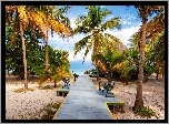 Plaża, Palmy, Podest, Ławki, Tropiki
