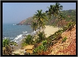 Plaża, Palmy, Goa, Indie