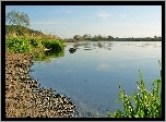 Jezioro, Plaża, Drzewa