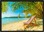Morze, Plaża, Leżak, Palmy, Tropik