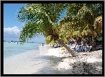 Plaża, Palmy, Leżaki, Tropiki, Wakacje