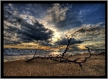 Plaża, Chmury, Morze, Konar