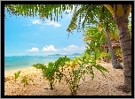 Plaża, Palmy, Domek, Morze, Tropiki