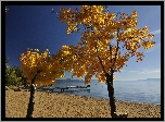 Plaża, Molo, Drzewa, Morze, Jesień