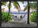 Plaża, Hamak, Palmy, Krzewy, Morze, Tropiki