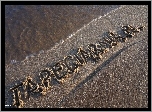 Plaża, Woda, Piasek, Napis, Tapeciarnia