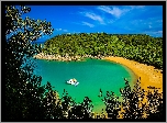 Abel Tasman National Park, Nowa Zelandia, Morze, Wybrzeże, Plaża
