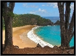 Plaża, Morze, Las, Fernando Noronha, Brazylia