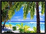 Ocean, Plaża, Palmy