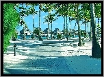 Plaża, Palmy, Ocean, Tropik