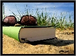 Plaża, Książka, Okulary