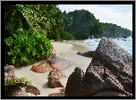 Plaża, Kamienie, Drzewa, Palmy, Morze