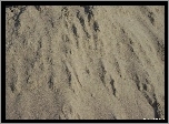 Plaża, Piasek