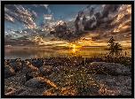 Plaża, Kamienie, Morze, Wschód słońca