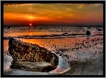 Plaża, Morze, Zachód, Słońca