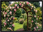 Ogród, Pergola, Róże, Pnące
