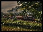 Pociąg, Lokomotywa, Góry, Drzewa
