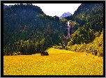 Pola, Góry, Wodospad, Domek