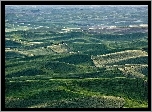 Pola, Wyżyna